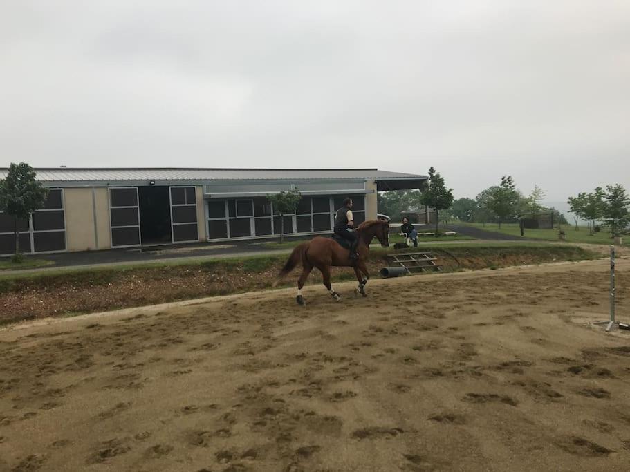 Logement Entier De Charme, Gite Equestre Gers Flamarens Екстериор снимка